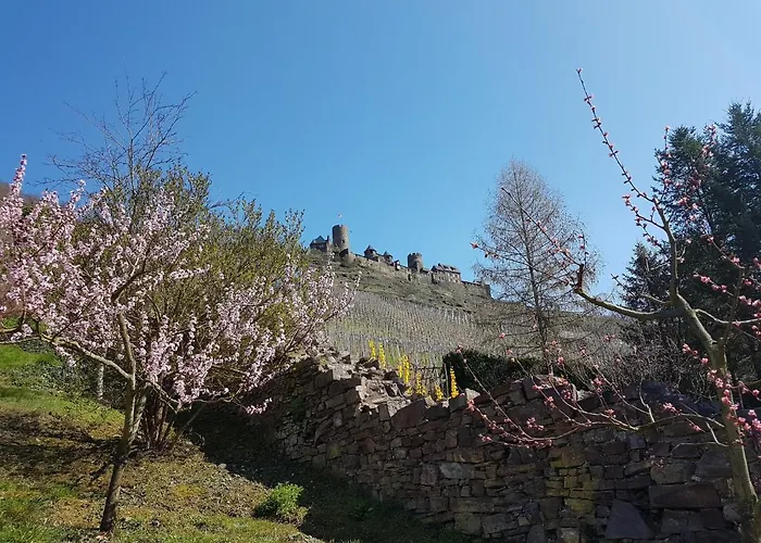 Zum Bachhexje 公寓 阿尔肯