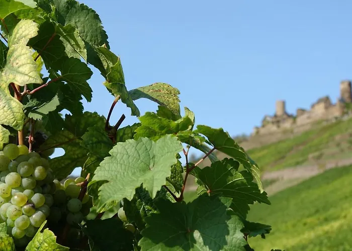 公寓 Zum Bachhexje *